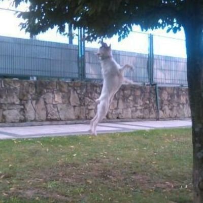 secrecyXXI's profile picture. 