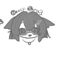 ほっしぃそら3 (@sora3_vrc) 's Twitter Profile