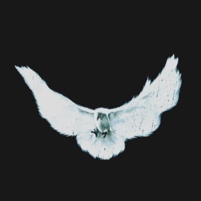 therealmugar's profile picture. 