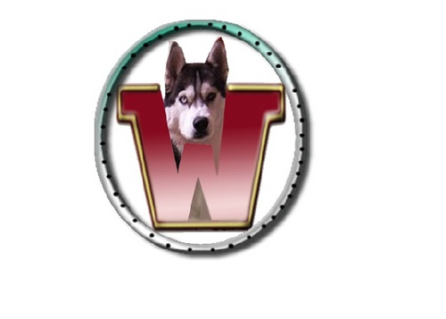 WatchDogIndia's profile picture. Auditing India