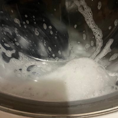 476cholera's profile picture. Kici kici tas tas psie