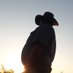 Undertaker (@undertaker54268) Twitter profile photo Undertaker (@undertaker54268) Twitter profile photo