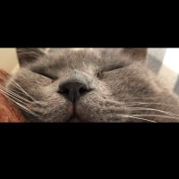 そら君 (@axjemx) 's Twitter Profile