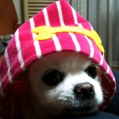 msxkid's profile picture. everyware creative computing group