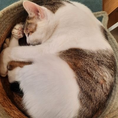 倉さんのプロフィール画像