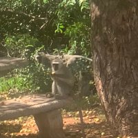 Roberto De Propris (@propris) 's Twitter Profile