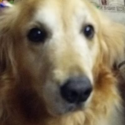 いま人と人の繋がりが薄くなってきて寂しく感じ、お互いの事を思いあえる世の中になればと思います 消費増税反対、テレビ、新聞は信じない