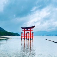 🇯🇵 S I R I U S @ 広島 🇯🇵 (@sirius254592) 's Twitter Profile