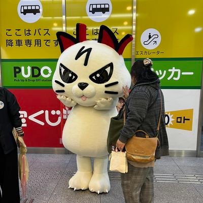約束の丘の麓で生活してます♥️
ましゃ大好き毎回ツアーは参戦してます(九州内限定)
バス(推しは1302さん)とえぬたん大好き❤️
長距離トラック運転手の大好きな旦那がいます❤️❤️
小えぬたん父母の会の人です😁