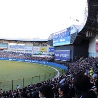 gensei (@lotte_gen) 's Twitter Profile