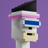 たっくん (@takkun_crypto) 's Twitter Profile