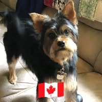 Canadian. Formerly @sackvillenovascotia. A Sackville-loving wife, mother and Grandma. Trying to find the positives in every day life. LGBTQ2S+ ally.
