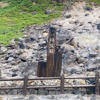 まめちき (@mamenoconon) 's Twitter Profile