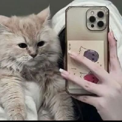 swarkh47827's profile picture. إبنة فلسطين العظيمة 🇵🇸✌️

الخاص بلوك ❌