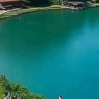 قائل الصدق والحقيقة (@alymnyalfa70553) 's Twitter Profile