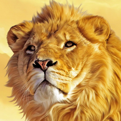 merwynaf's profile picture. 