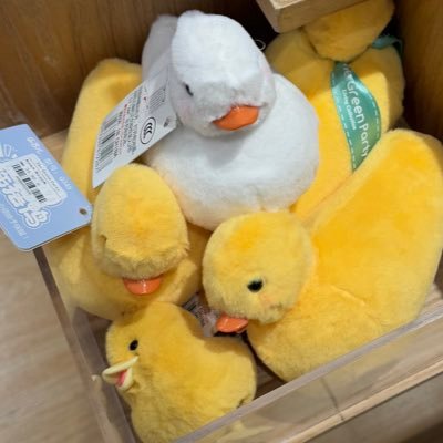 sudbwisndhieien's profile picture. 