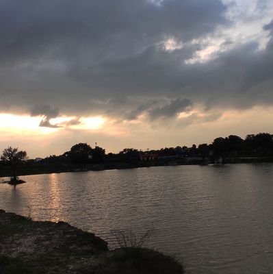 PalriyaRav96613's profile picture. 