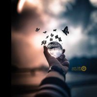 natural for life (@goowithelife) 's Twitter Profile