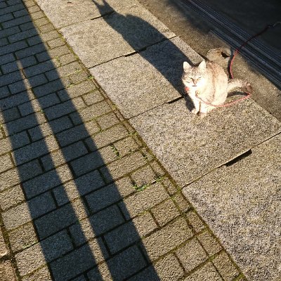 綾瀬さんのプロフィール画像