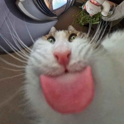 hehehe Profile