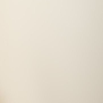 cxndid_lee's profile picture. 