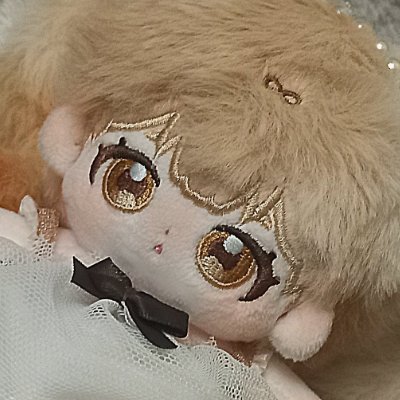 제티さんのプロフィール画像
