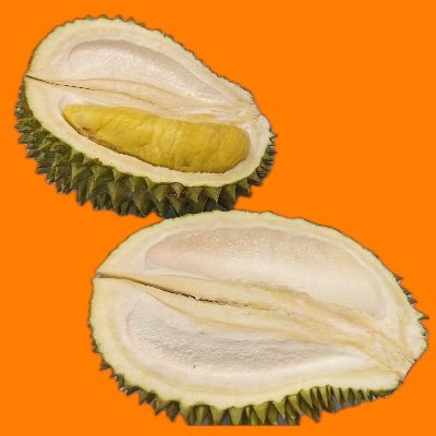 ドリアン文化圏は各地で出会ったドリアンを紹介するサイトです。
ドリアン好きな方はもちろん、東南アジアや旅行が好きな方、フルーツ好きな方も気軽にフォローしてください🍍