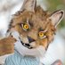 Jay (@jay_thelynx) Twitter profile photo Jay (@jay_thelynx) Twitter profile photo