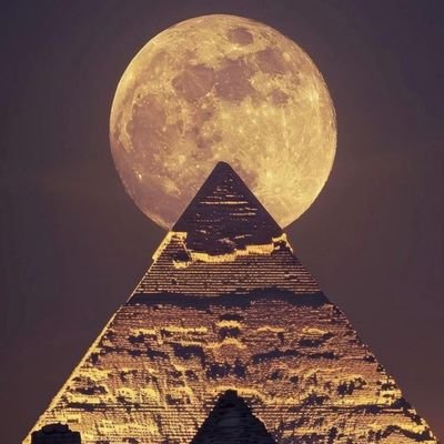 HuziBus11's profile picture. 