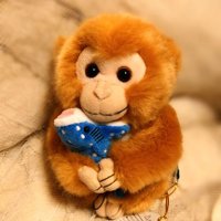主と待機のマサヨシ (@taiki_masayoshi) Twitter profile photo