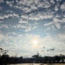 智障日常生活 - @AndreaPark0923 - Twitter