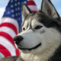AlottaPower (@alottapower) 's Twitter Profile