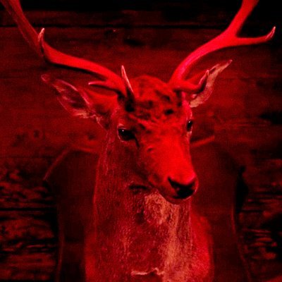 BabadookTapes's profile picture. Neutral fan, Technician in Film Industry