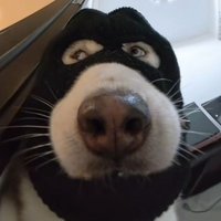 LLS🎞️王楚然 (@plnchkofu) 's Twitter Profile
