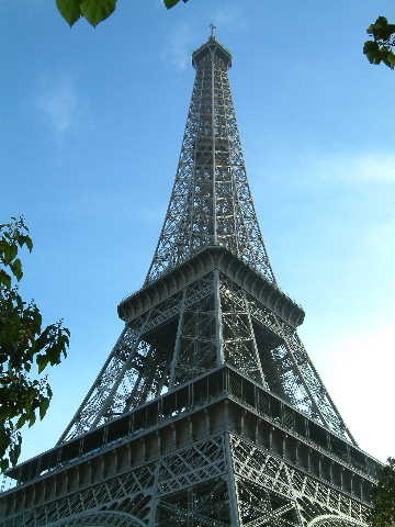 fantansana's profile picture. 