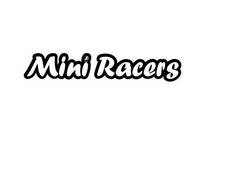 Mini racers (@mini_racers) | Twitter