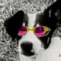 BIRIBISMO (@biribismo) 's Twitter Profile Photo BIRIBISMO (@biribismo) 's Twitter Profile Photo