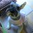 yumi_lotta4ever
