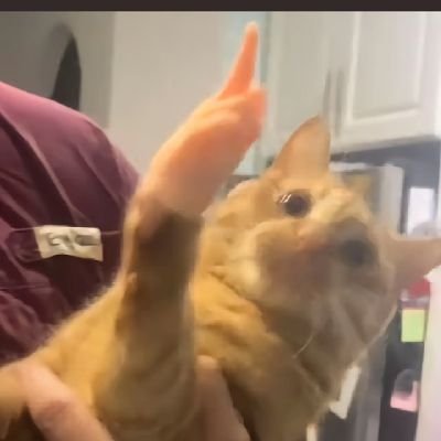 zhngykun230048's profile picture. 