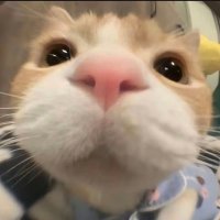 LPP(练舞腿疼版) (@lpp1917241) 's Twitter Profile Photo LPP(练舞腿疼版) (@lpp1917241) 's Twitter Profile Photo