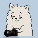 📷린🐶 (@ryn_photo) 's Twitter Profile Photo 📷린🐶 (@ryn_photo) 's Twitter Profile Photo