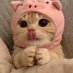 Cats all the way (@nekocatts) Twitter profile photo Cats all the way (@nekocatts) Twitter profile photo