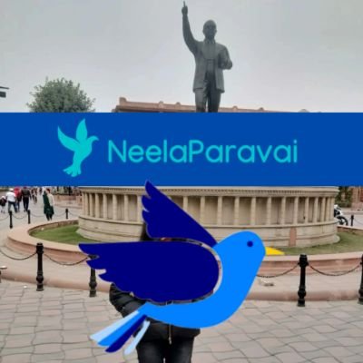 Dalit - Ambedkarite, Unapologetic Blue பறவை here to give unhinged opinions, share random musings and rant.