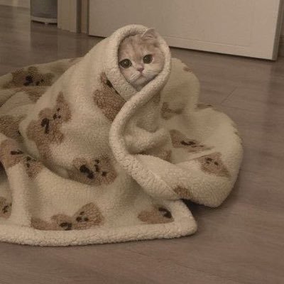 EkI3yb's profile picture. أي علاقة إنسانية مهما كانت عميقة إذا لم تزرع فيك الطمأنينة والأمان وقادتك للأجمل ، فهي نزوةٌ عابرة ستدفع ثمن تورطك فيها