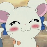 あいあい (@aiai___ryubi) 's Twitter Profile