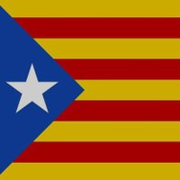 Jordi Cañellas Marti 💙🏴🌳 (@jordicanya88) 's Twitter Profile