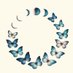 فراشة 🦋 |بوتري بارن A2YQJ _ جيني AA8Y ✨كود خصم✨ (@tshnd6) Twitter profile photo فراشة 🦋 |بوتري بارن A2YQJ _ جيني AA8Y ✨كود خصم✨ (@tshnd6) Twitter profile photo