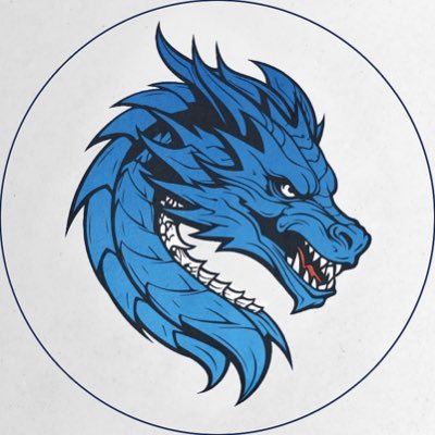 Tudo sobre o FCPorto 💙 instagram: dragonsinformation 6k seguidores
