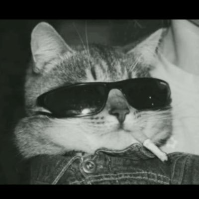 thesagaroceanic's profile picture. Waves don’t define me; I chart my own course 🌊